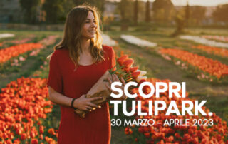 tulipark 2023