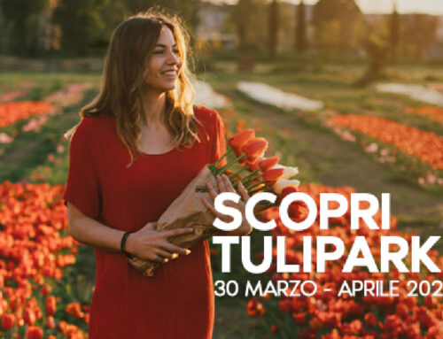 Tulipark Bologna 2023