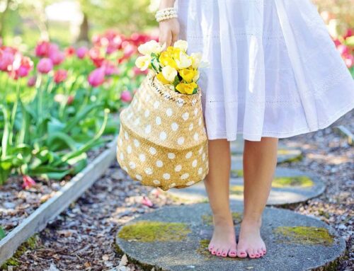 Bologna Green: scopri i parchi ed i giardini più belli di Bologna