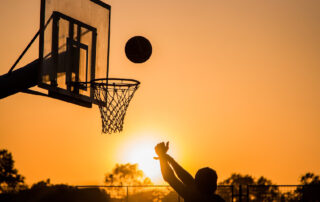 basket bologna