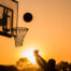 basket bologna