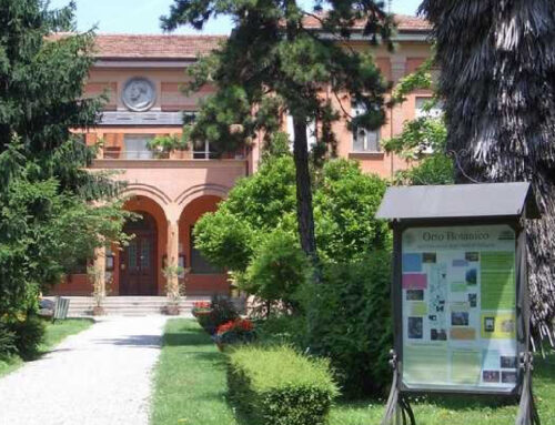 Visita all’Orto Botanico di Bologna: piante rare, serre e percorsi naturali