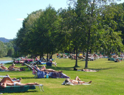 Il lido di Casalecchio, storia e curiosità