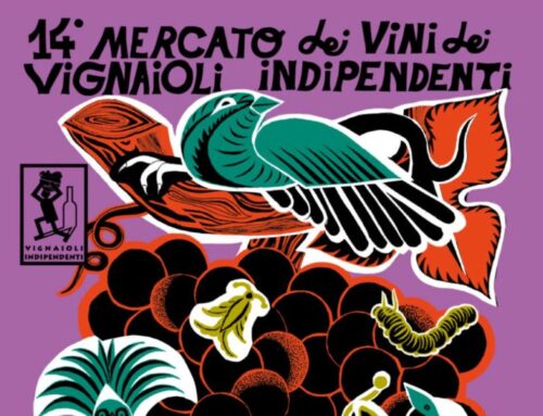 Bologna 15-17 novembre 2025: Mercato dei Vini indipendenti, guida pratica