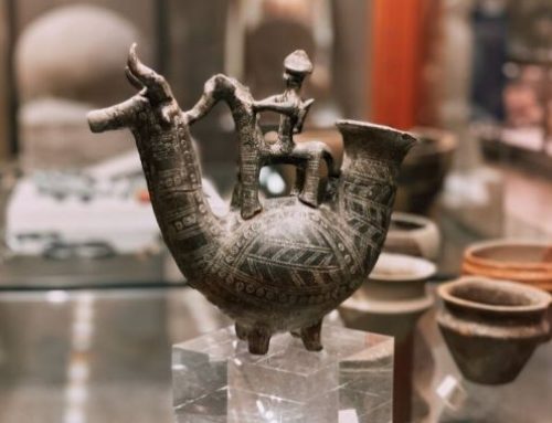 Bologna ad agosto 2026: i musei aperti da visitare a fine estate